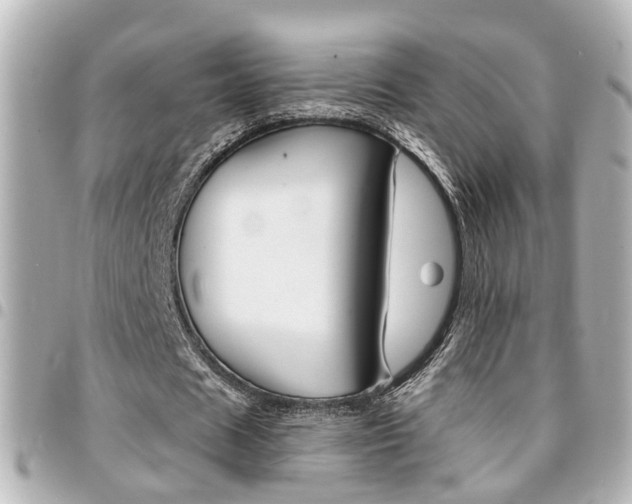 X0000094440625200711081026