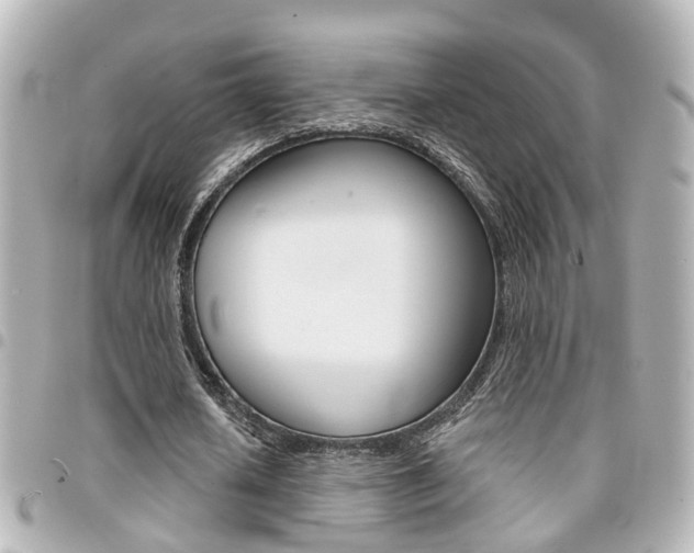 X0000094440626200711081026