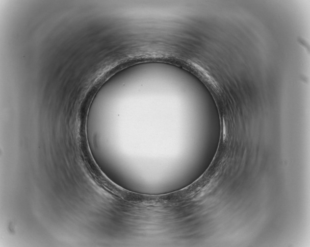 X0000094440627200711081026