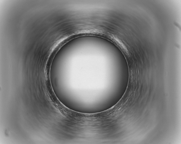 X0000094440628200711081026