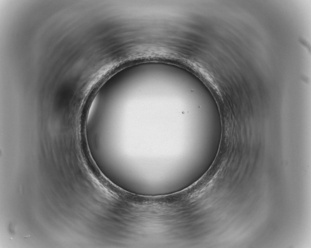 X0000094440629200711081026