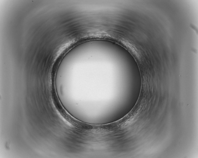 X0000094440630200711081026