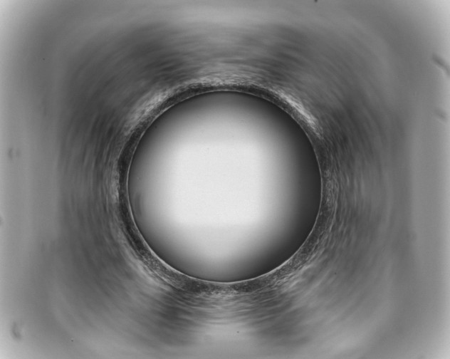 X0000094440631200711081026