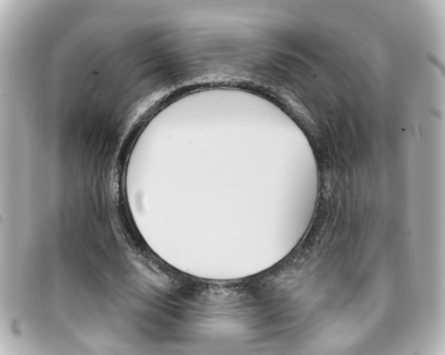 X0000094440632200711081026