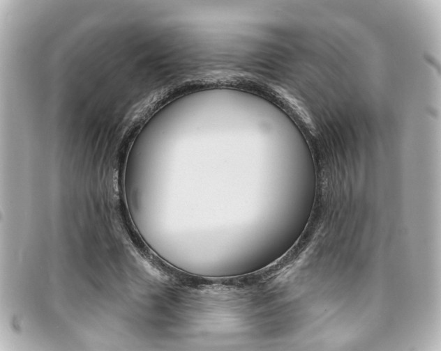 X0000094440633200711081026