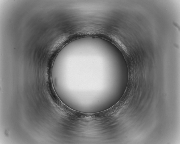 X0000094440635200711081026