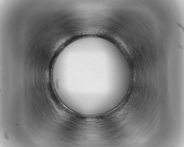 X0000094440636200711081026