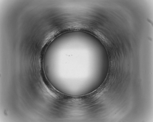 X0000094440638200711081026