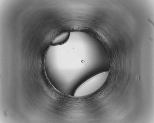 X0000094440639200711081026