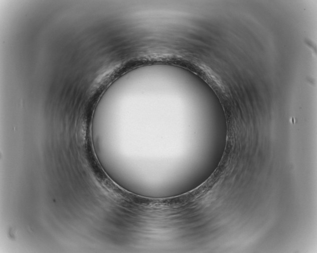 X0000094440640200711081026