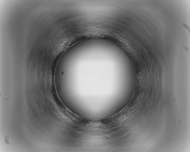 X0000094440642200711081026