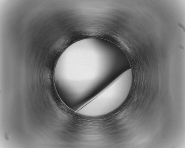 X0000094440643200711081026