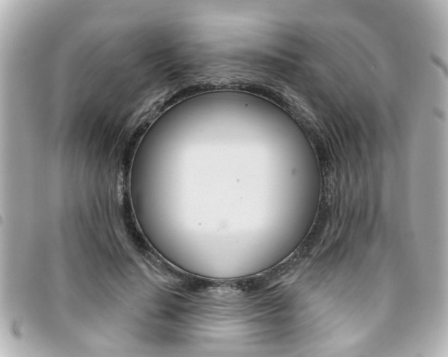 X0000094440644200711081026