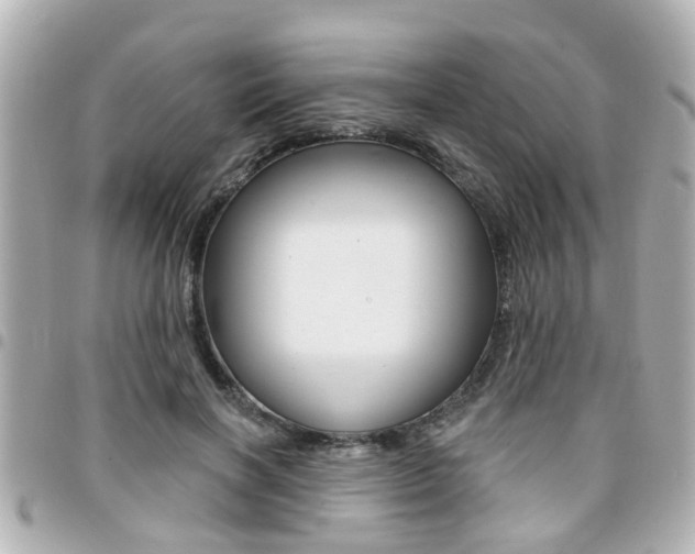 X0000094440646200711081026