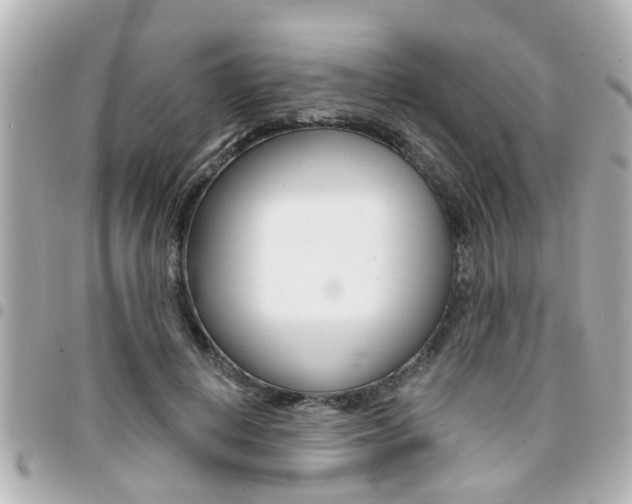 X0000094440648200711081026