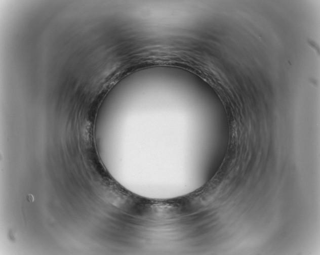 X0000094440650200711081026