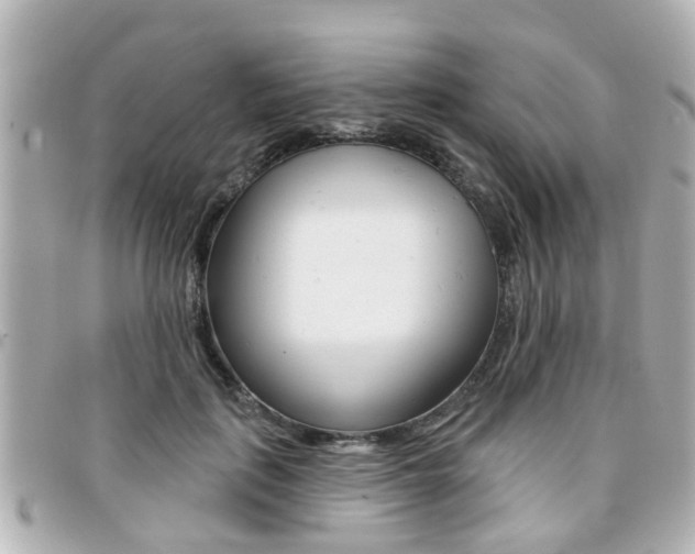 X0000094440651200711081026