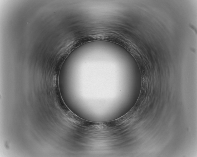 X0000094440652200711081026