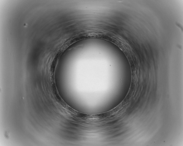 X0000094440653200711081026