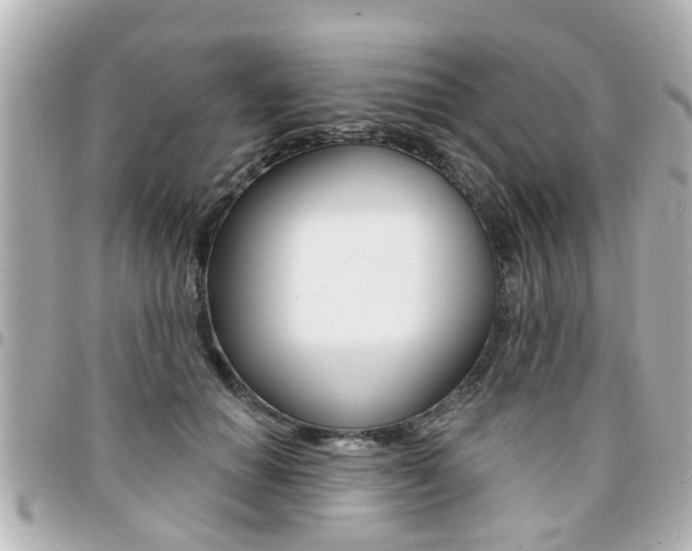 X0000094440654200711081026