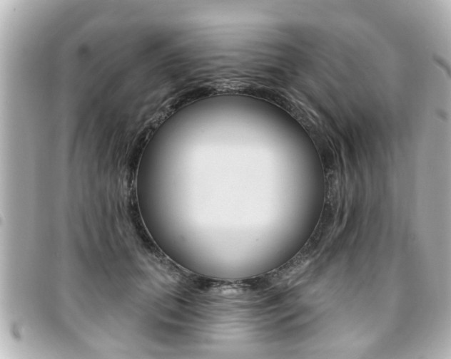 X0000094440655200711081026