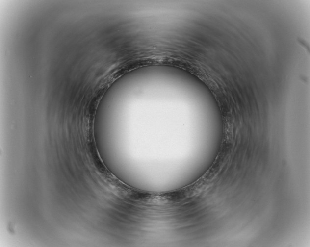 X0000094440656200711081026