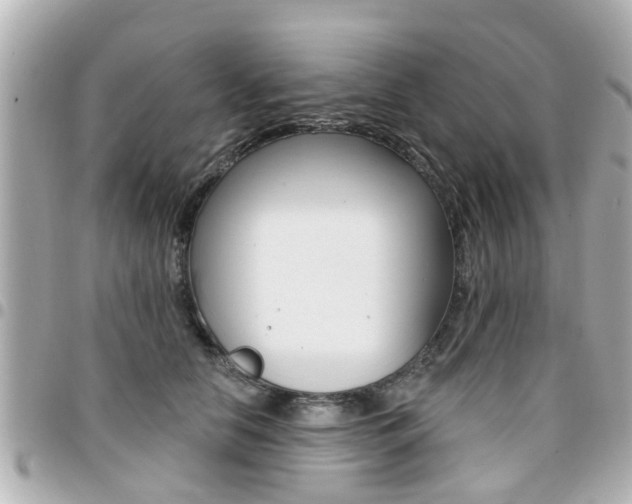 X0000094440658200711081026