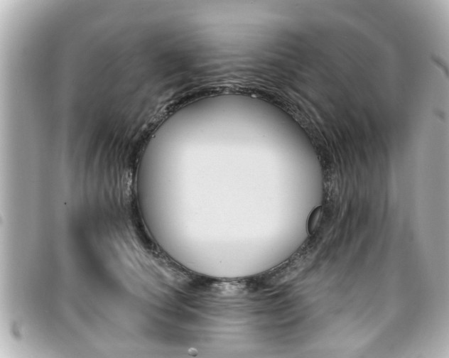 X0000094440660200711081026