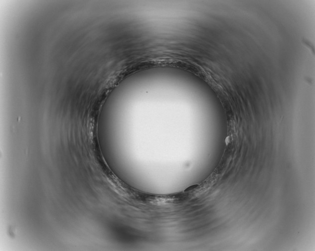 X0000094440664200711081026