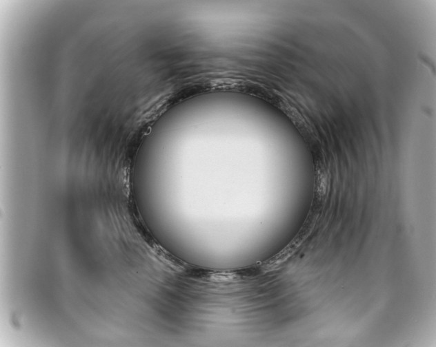 X0000094440666200711081026