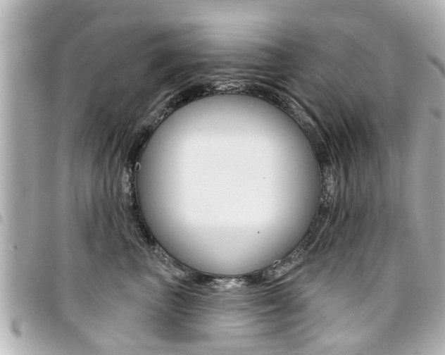 X0000094440667200711081026