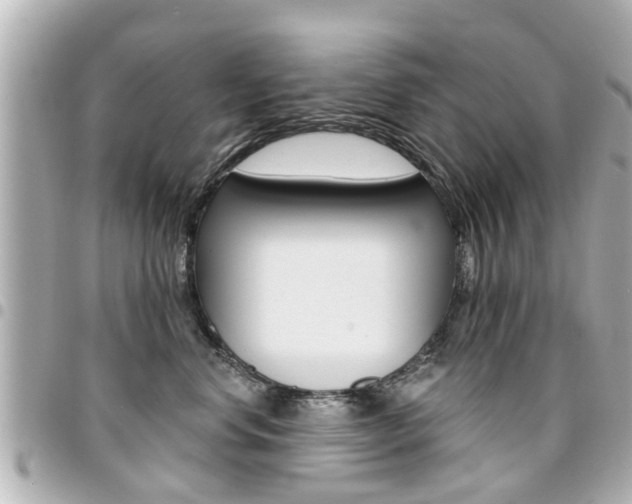 X0000094440668200711081026