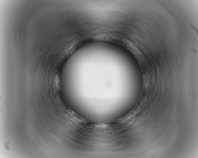 X0000094440669200711081026