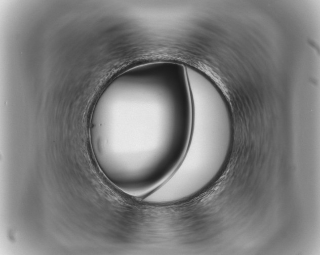 X0000094440673200711081026