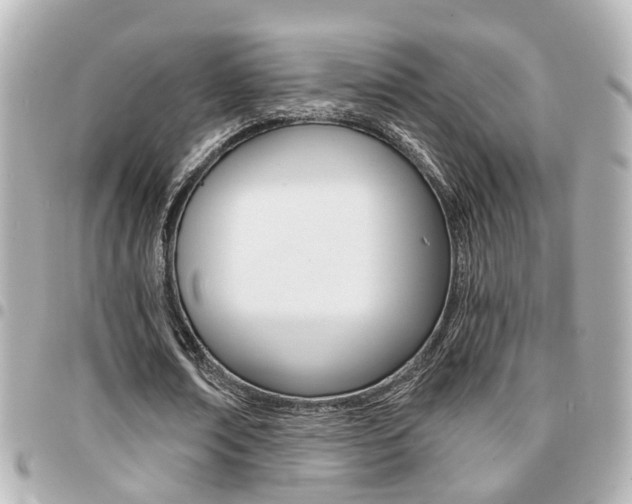 X0000094440674200711081026