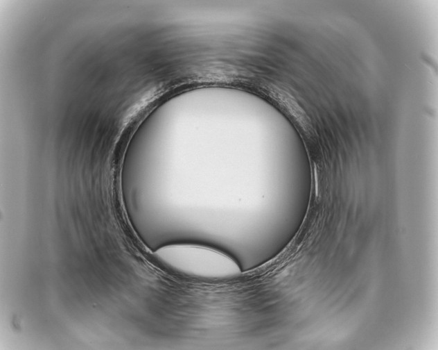 X0000094440675200711081026