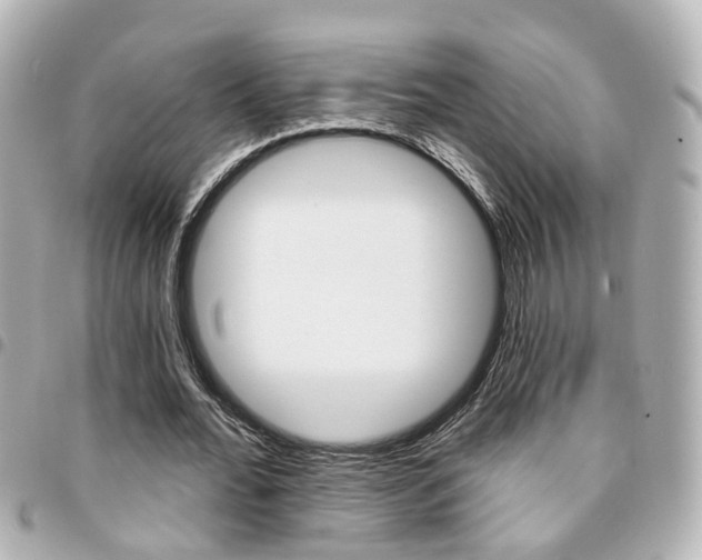 X0000094440676200711081026