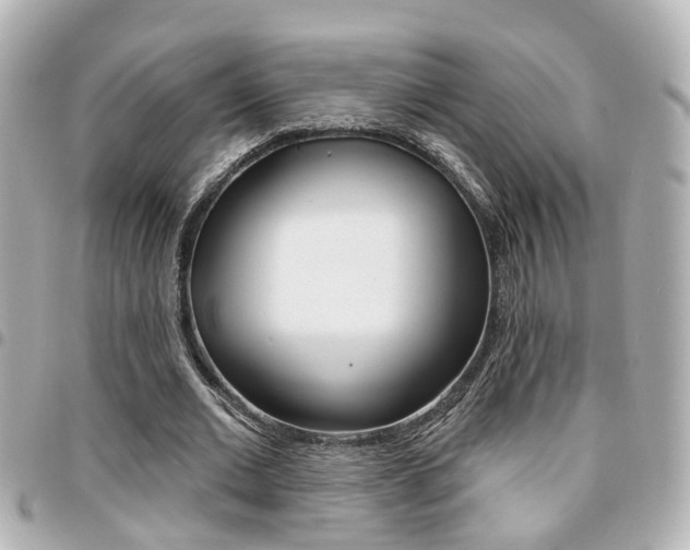 X0000094440677200711081026