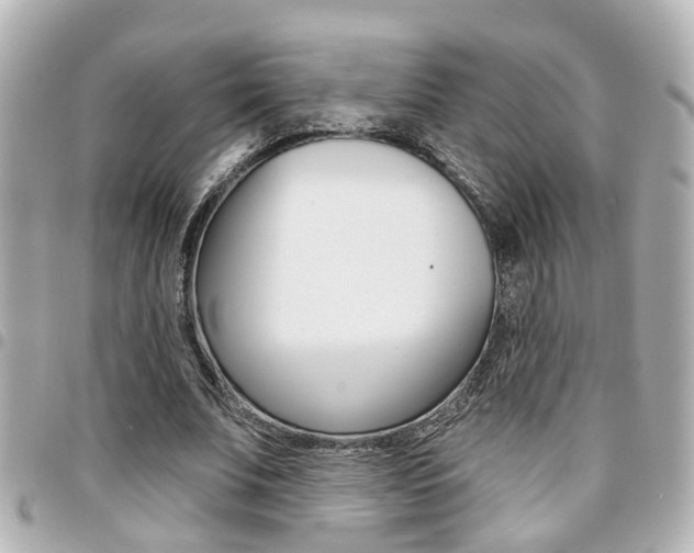 X0000094440679200711081026