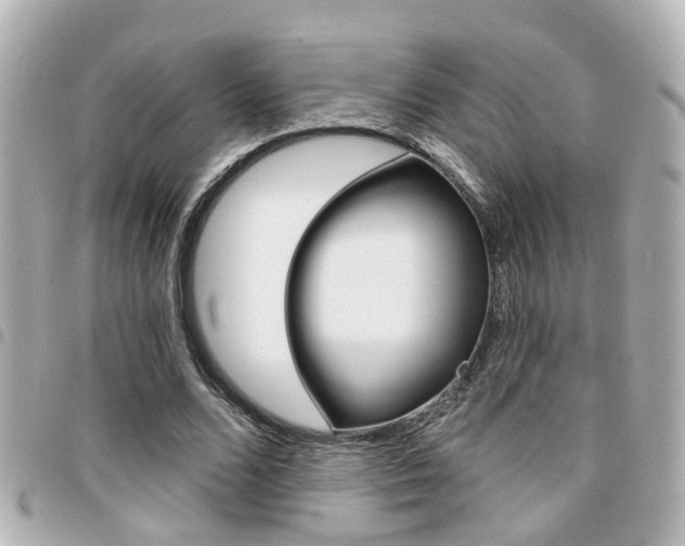 X0000094440680200711081026