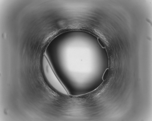 X0000094440681200711081026