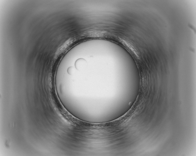 X0000094440682200711081026