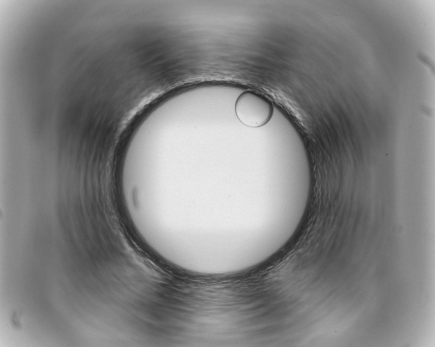 X0000094440684200711081026
