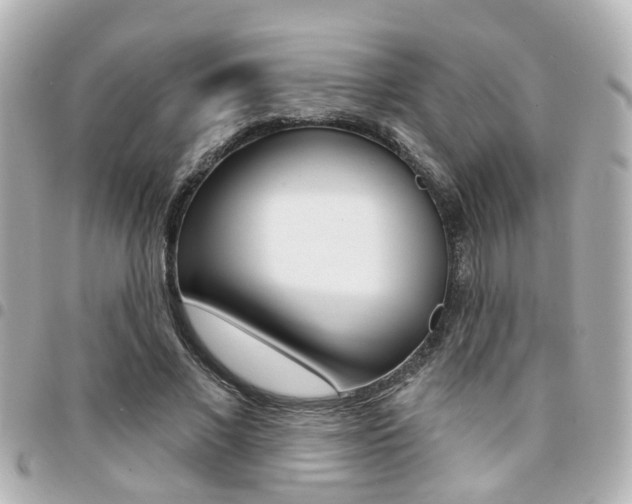 X0000094440685200711081026
