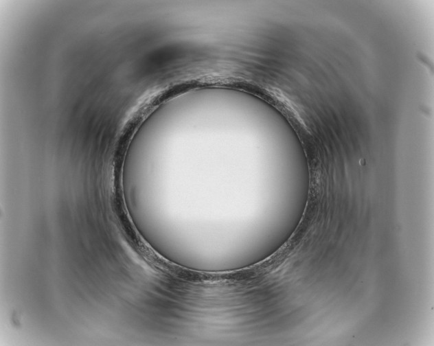 X0000094440686200711081026