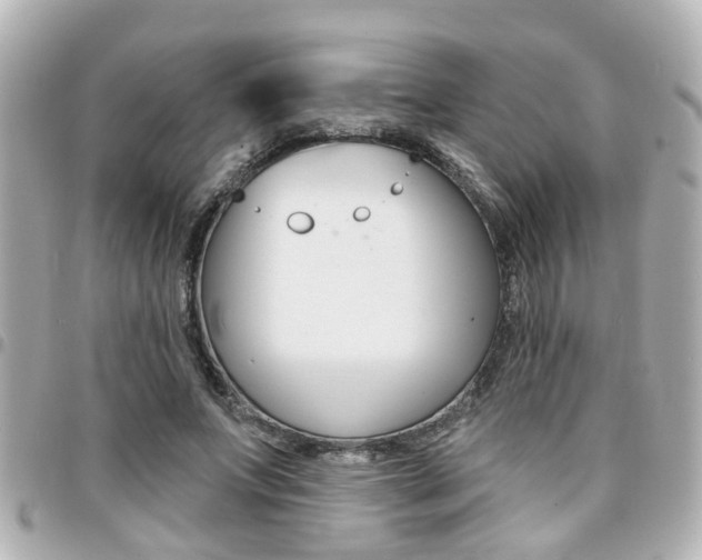 X0000094440687200711081026