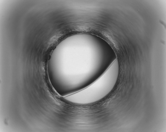 X0000094440688200711081026