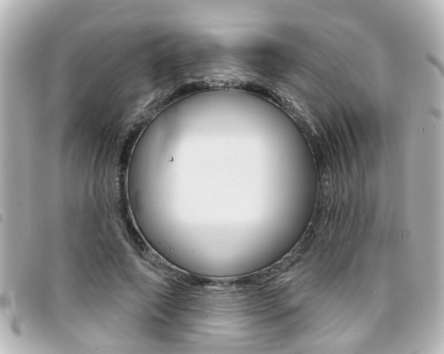 X0000094440690200711081026