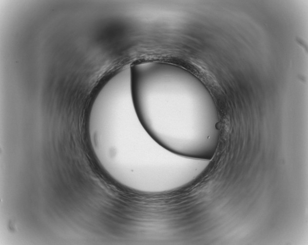 X0000094440691200711081026