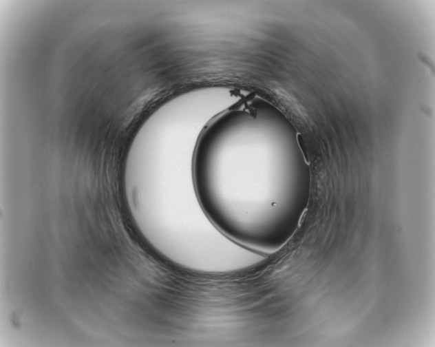 X0000094440693200711081025